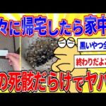 【閲覧注意】久々に帰宅したら家中が虫の死骸だらけでヤバい【2ch面白いスレゆっくり解説】